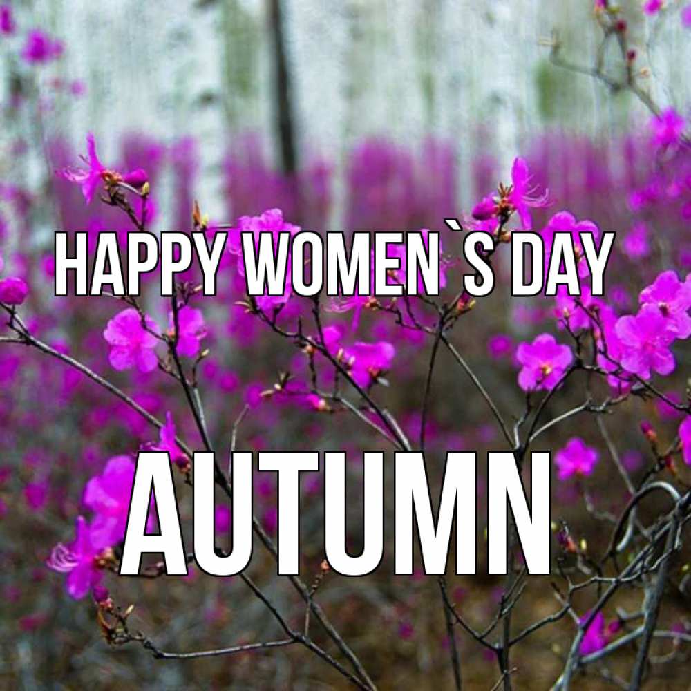 Greetings card с именем, Autumn happy women`s day дикие цветы Greetings with text for free download 